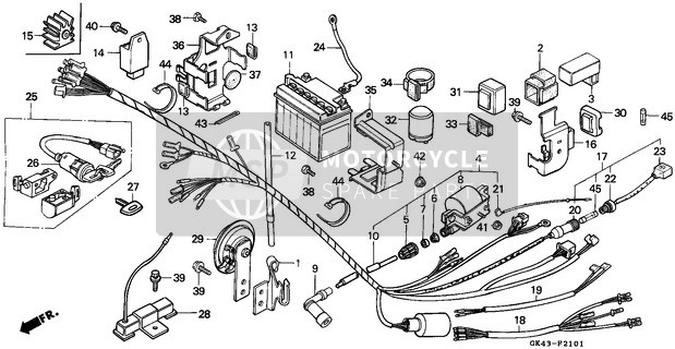 Wire Harness/Battery (C50LAG/G/J/N/SN)